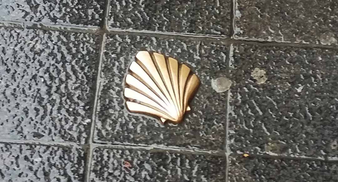 golden Shell Brussels